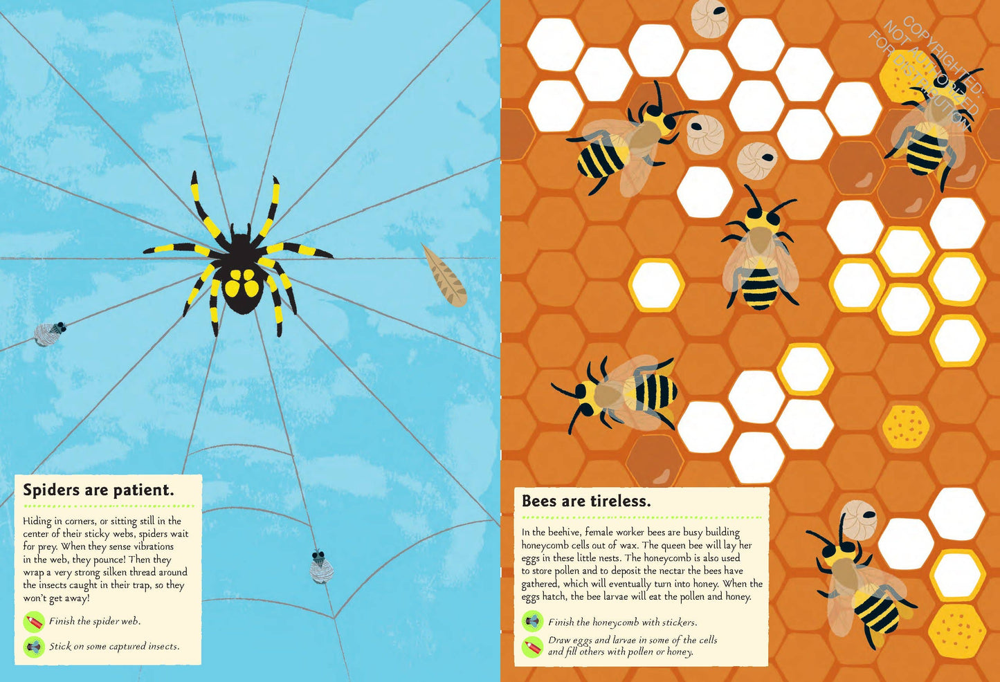 Garden Insects and Bugs Sticker Activity Book