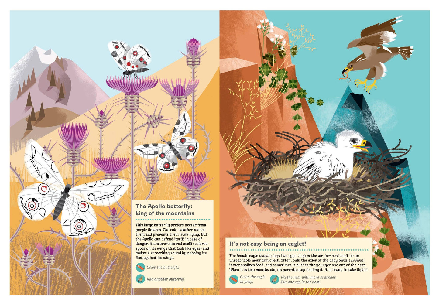 Animals of the Mountains Sticker Activity Book