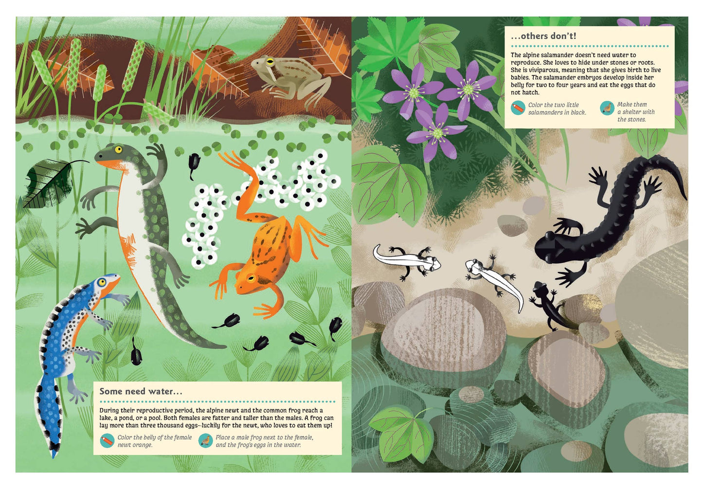 Animals of the Mountains Sticker Activity Book