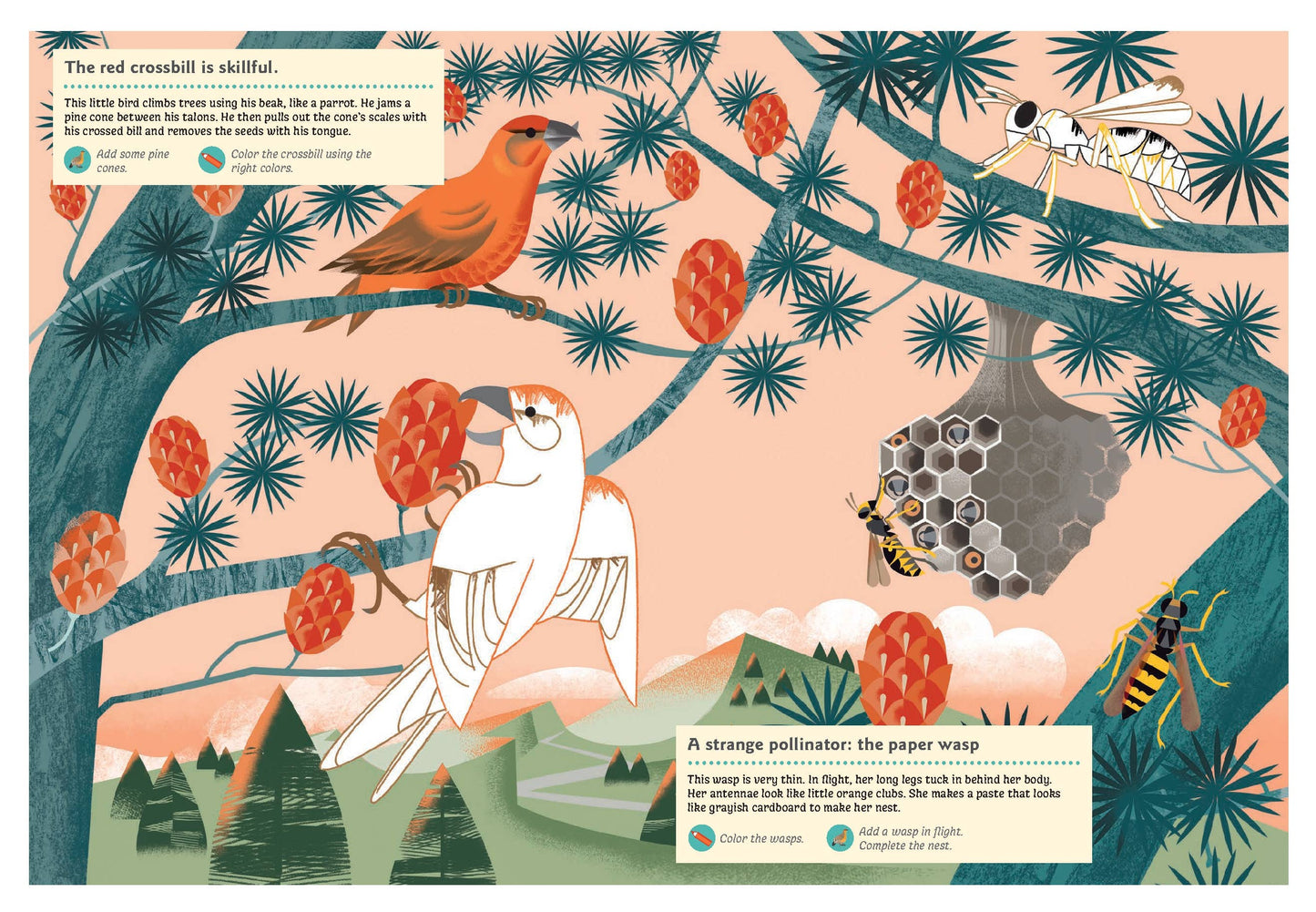 Animals of the Mountains Sticker Activity Book