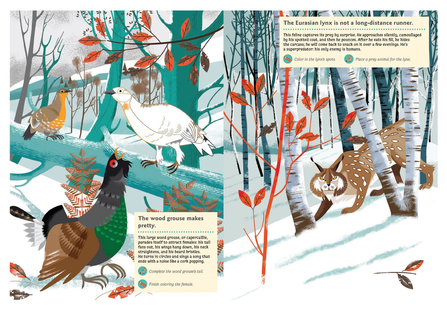 Animals of the Mountains Sticker Activity Book