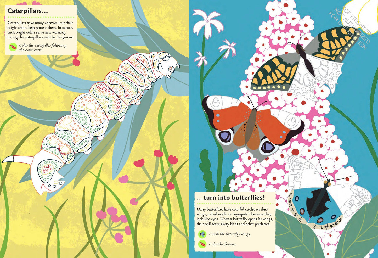 Garden Insects and Bugs Sticker Activity Book