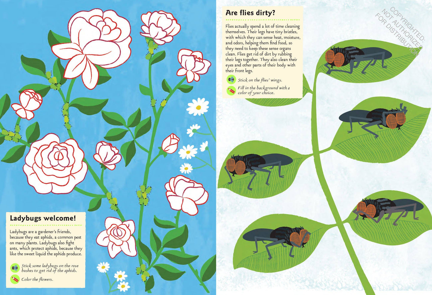Garden Insects and Bugs Sticker Activity Book