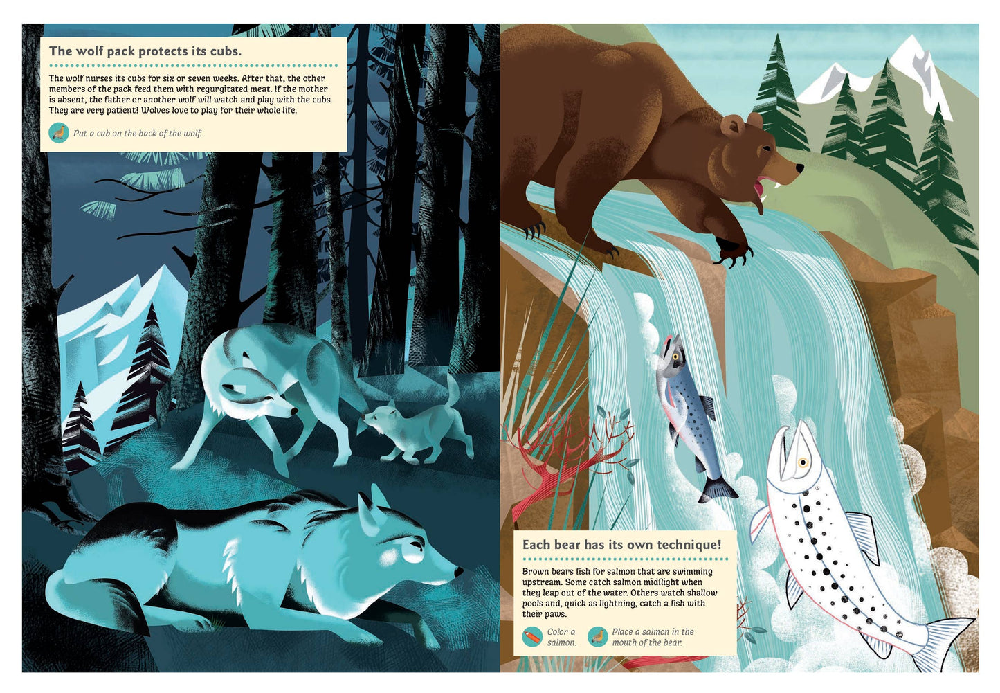 Animals of the Mountains Sticker Activity Book