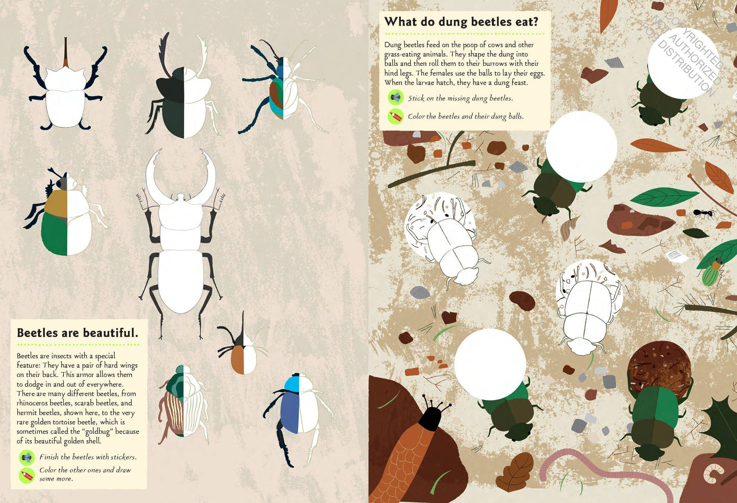 Garden Insects and Bugs Sticker Activity Book