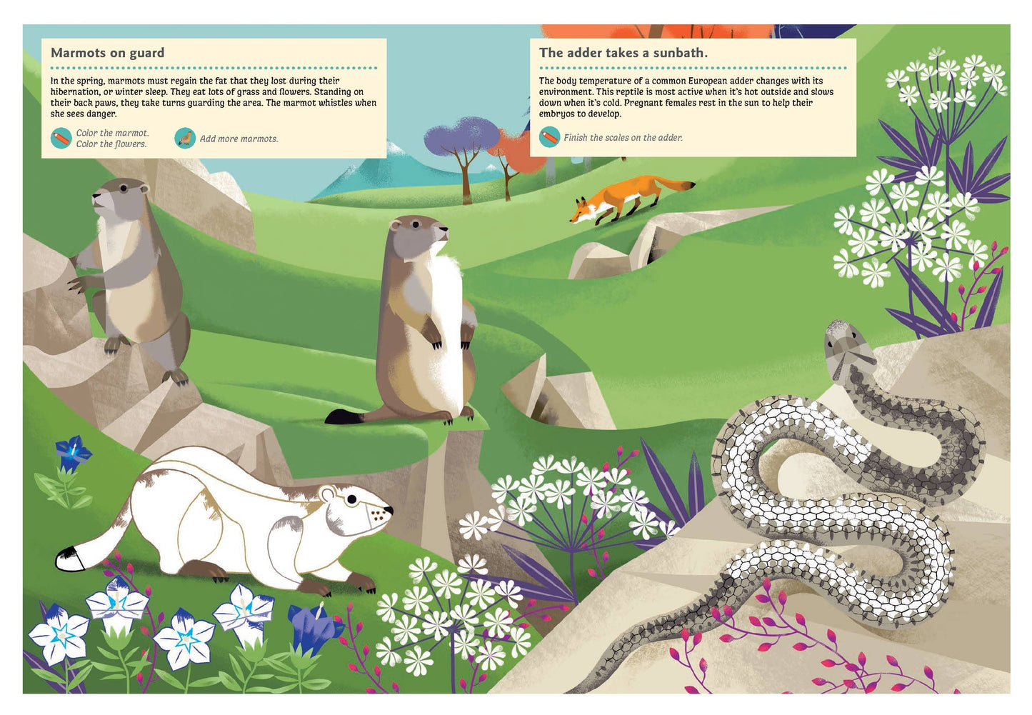 Animals of the Mountains Sticker Activity Book